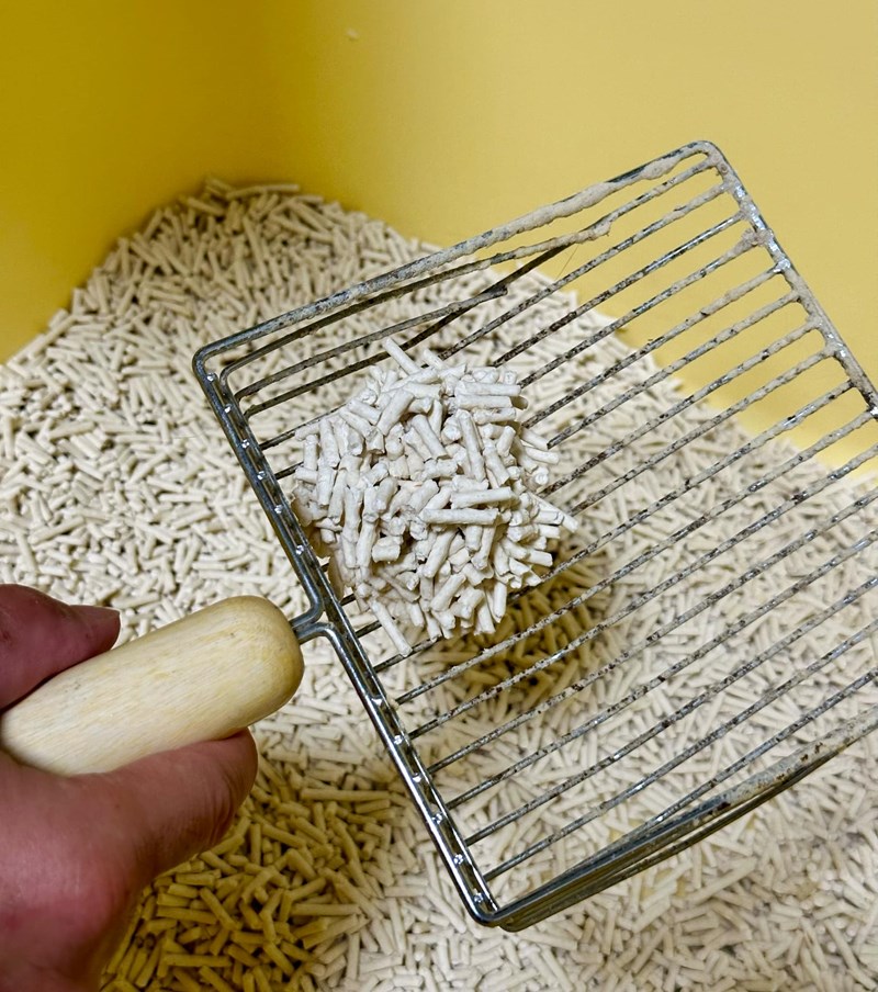 女人知己試用大隊,口碑行銷,部落客行銷,PurreLand 倍淨豆腐貓砂,好市多購買,COSTCO購買,豆腐貓砂,PurreLand倍淨,低粉塵,易清理,可沖馬桶,提供絕佳的除臭與凝結力,豆腐貓砂評價,貓砂評價,使用心得,貓砂分享,好用,原味,綠茶,豆腐砂,水量需完全覆蓋貓砂,水量需貓砂的2~3倍以上,豆腐砂評價,高CP值,划算